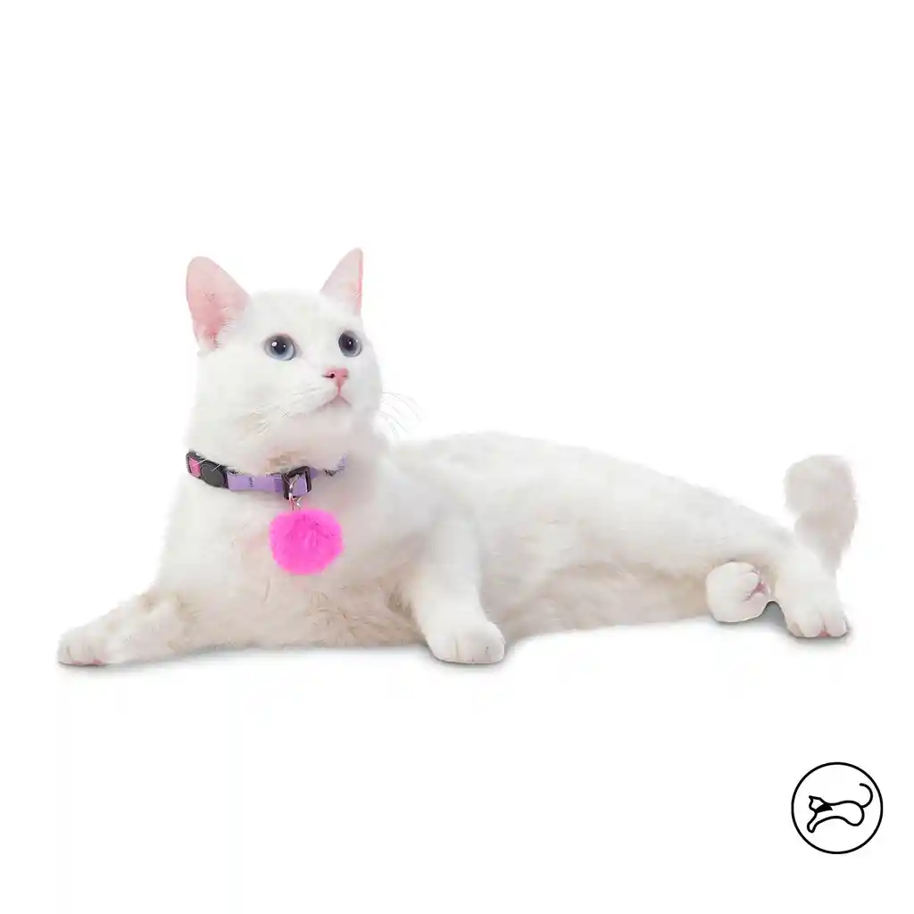 Collar Ajustable Meow Para Gato