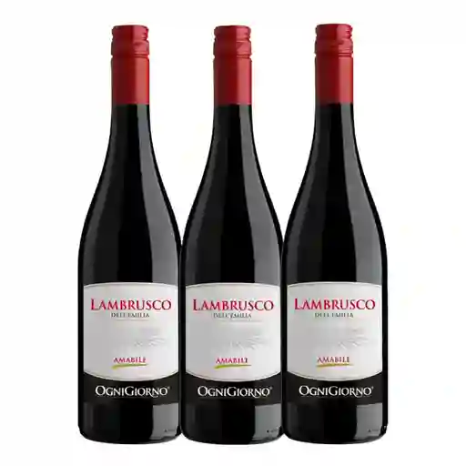 Vino Lambrusco Zonin Rosso Ognigiorno 2x3