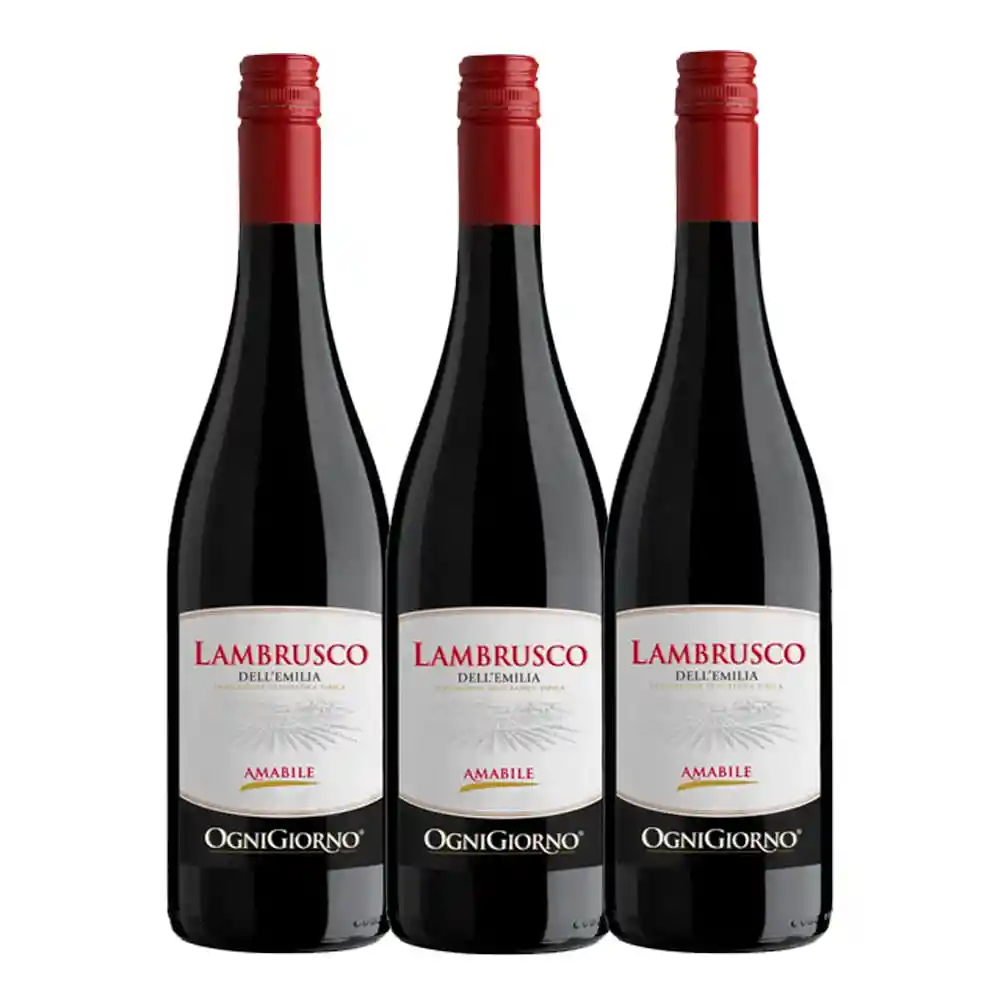 Vino Lambrusco Zonin Rosso Ognigiorno 2x3