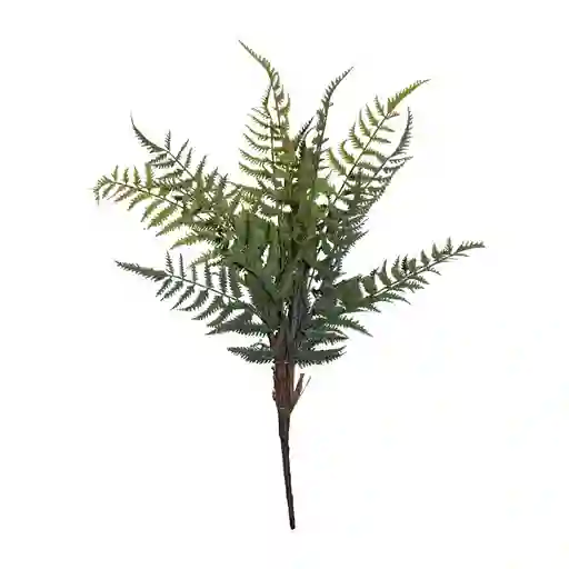 Hierba Gio Home Persa Verde