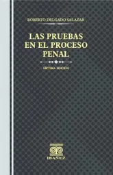 Las Pruebas en El Proceso Penal