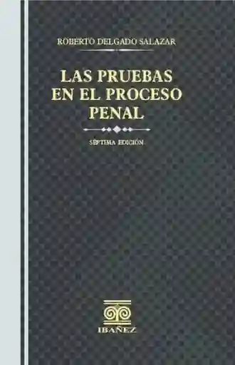 Las Pruebas en El Proceso Penal
