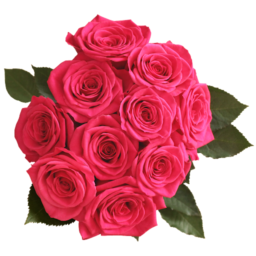 Ramo de Flores El Capirorosas Fucsia