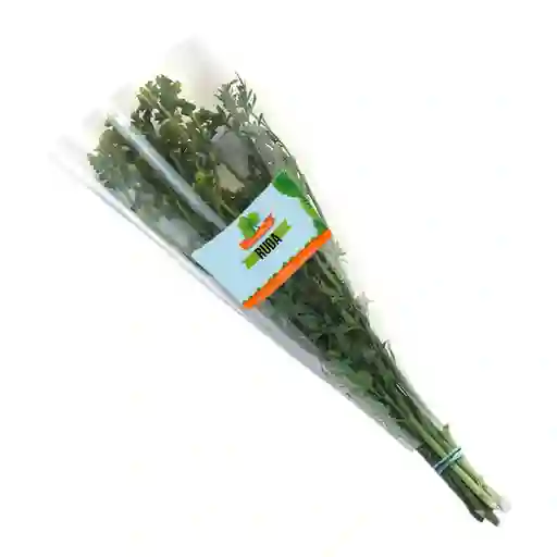 Ruda Fresh Aromatic
