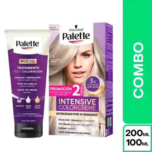 Combo Palette Color Creme 10-1 Rubio Plata Cenizo + Tratamiento