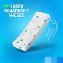 Trident Chicle Sin Azúcar Sabor Menta Fresca Pack