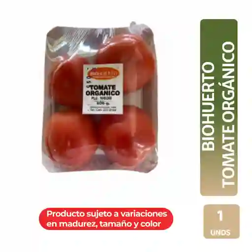 Biohuerto Tomate Orgánico