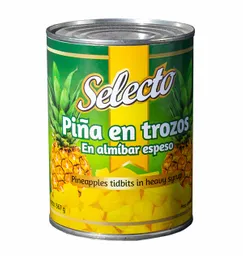 Selecto Piña en Trozos en Almíbar