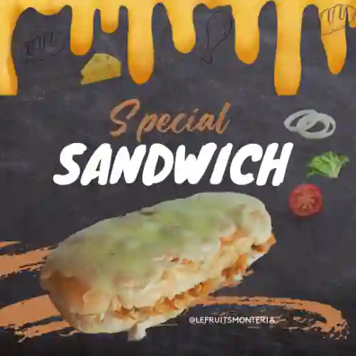 Sándwich Especial Xl