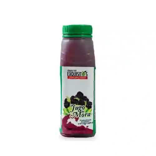 Jugo de Mora X 250 ml