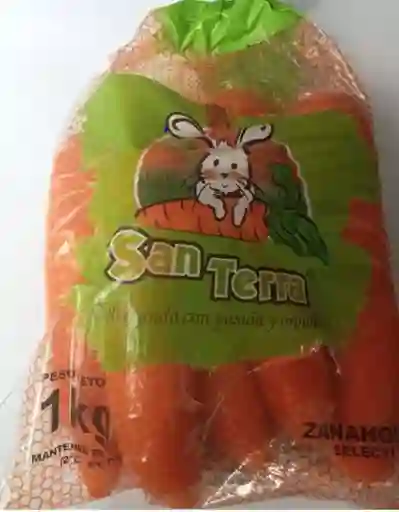 Zanahoria