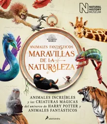 Animales Fantásticos: Maravillas de la Naturaleza - Salamandra