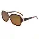 Gafas Sol Foster Grant Fglp 21 05