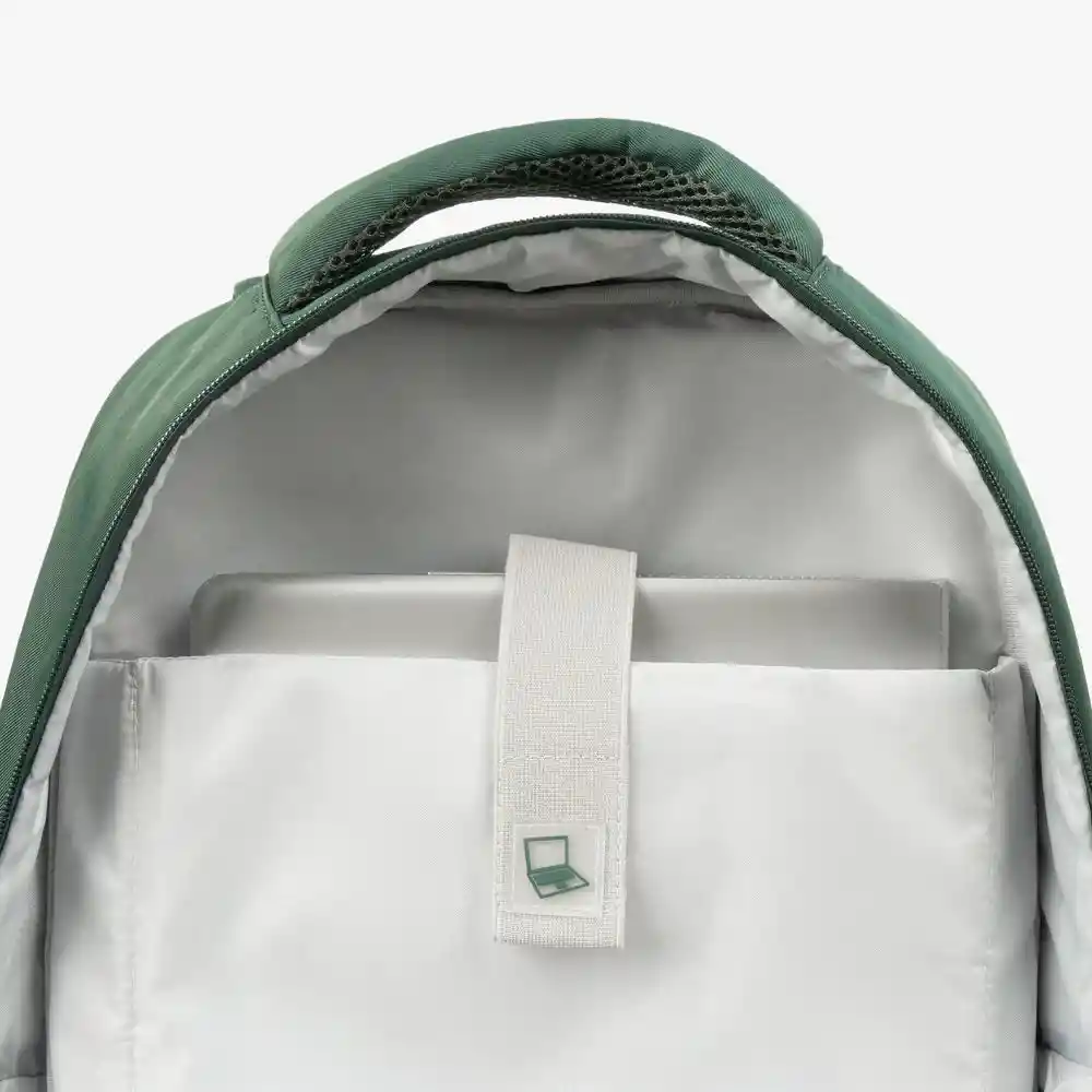 Morral Sync Lugano Sync 24651
