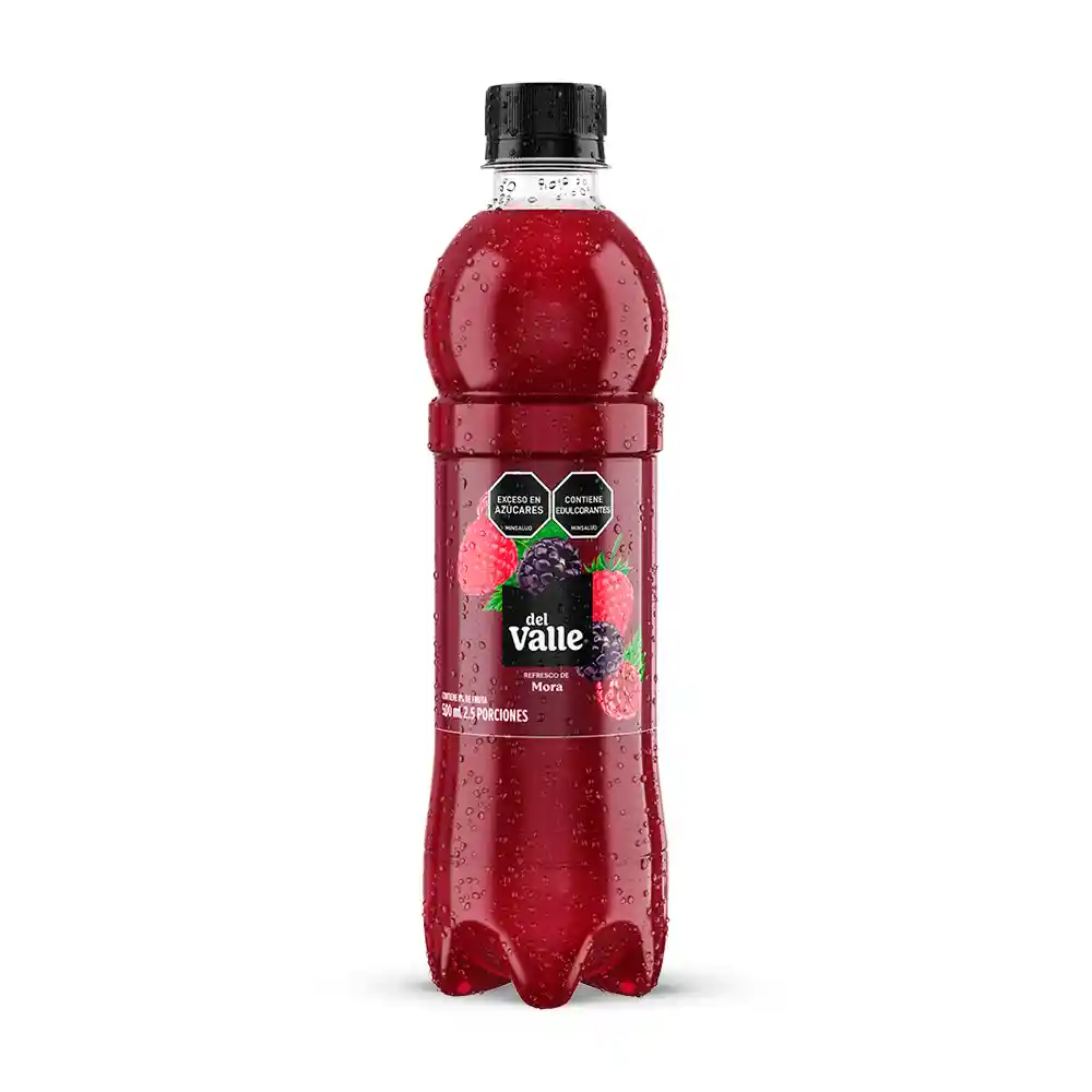Del Valle Jugo Frutal Mora 500 mL