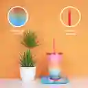 Vaso de Plástico Con Pitillo Serie Rainbow 3.0 Miniso