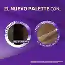 Tinte Palette Color Creme 1-0 Negro + Oxigenta Gratis