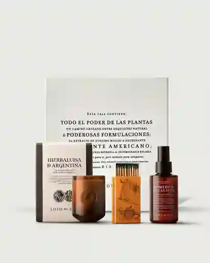 Combo Atmosfera Purificante