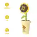Bloque de Construcción en Forma de Planta Serie Miniso