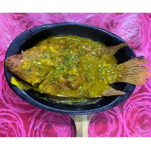 Mojarra en Salsa Criolla