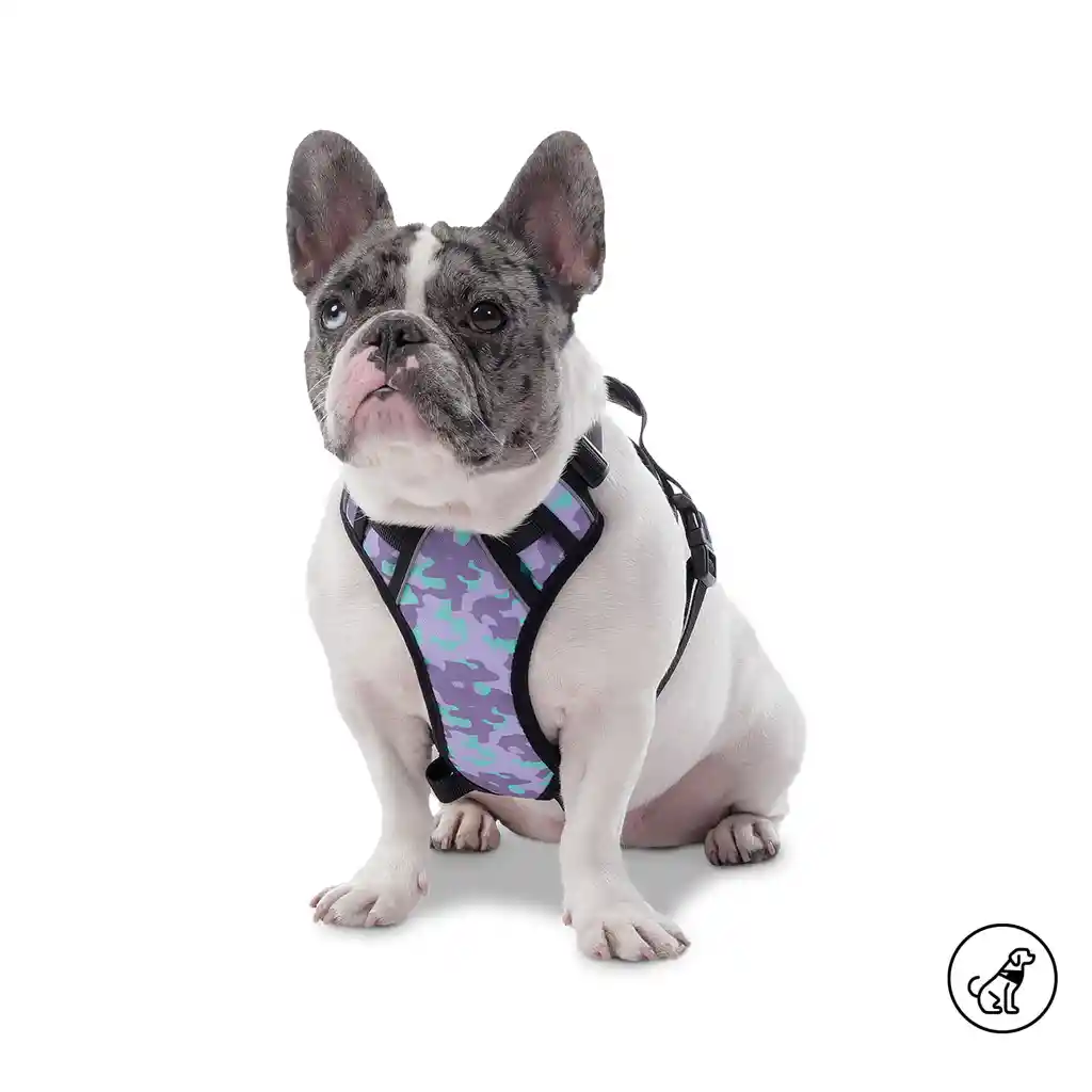 Arnés Pechera Para Perro Heikul Xs Morado