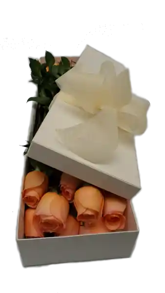 Flores Caja 12 Rosas Salmon Frescas