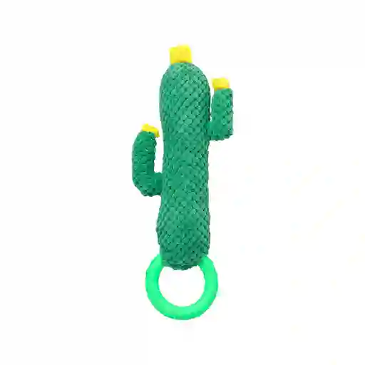 Miniso Peluche Para Mascota Cactus Series Modelo C