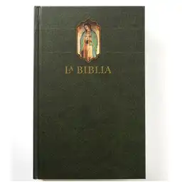Biblia Catolica Tapa Dura Verde Biblia de America