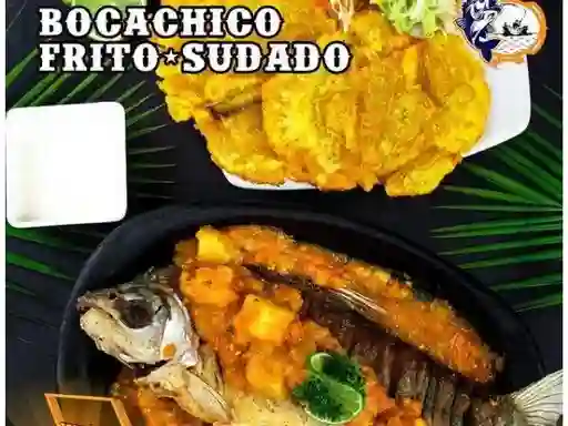 Bocachico Frito-Sudado