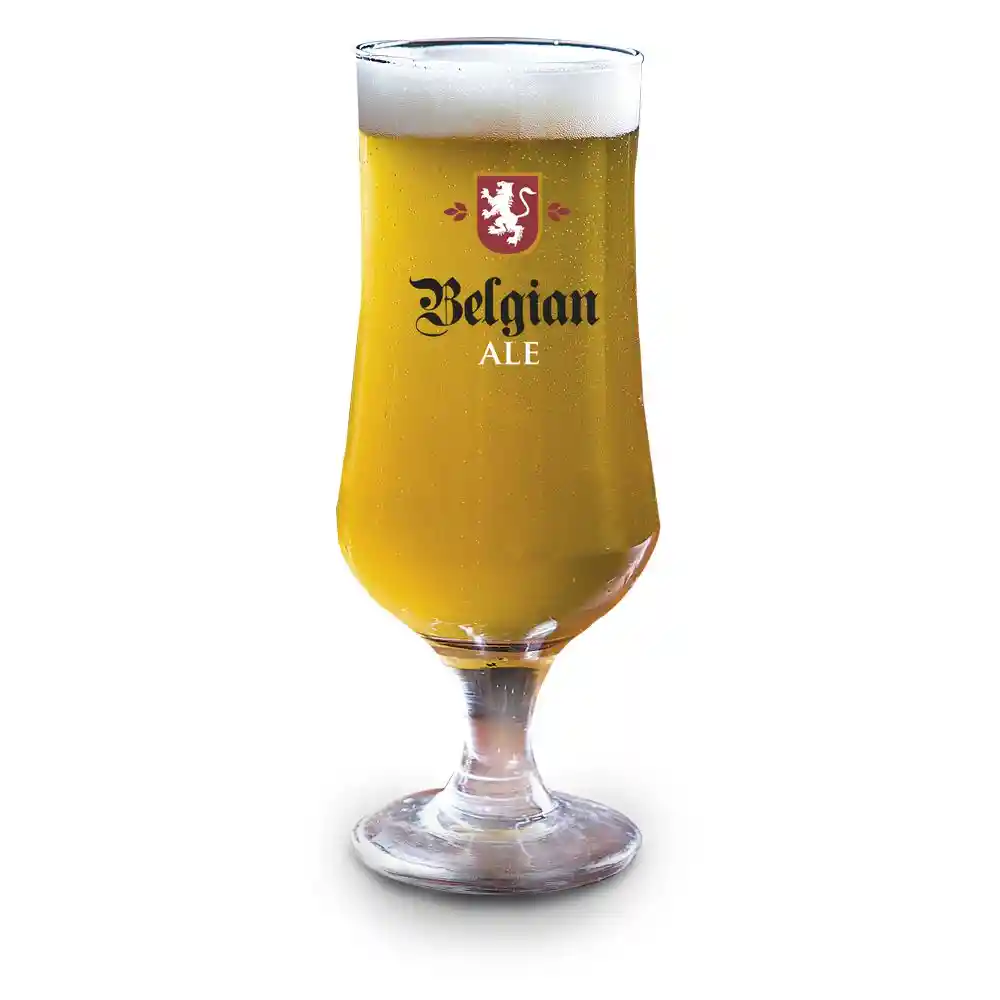 T10 Belgian Ale Editorial Planeta