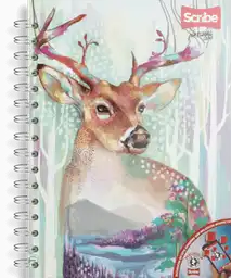 Scribe Cuaderno 