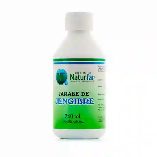 Jengibre Naturfar Jarabe De