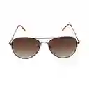 Gafas Unisex Color Bronce X17096 Steve Madden