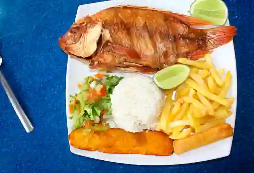 Mojarra