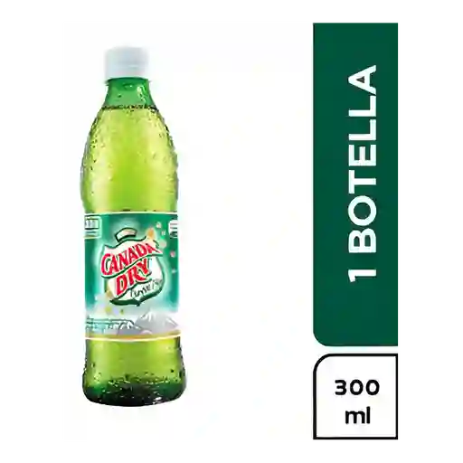 Canada dry 300 ml