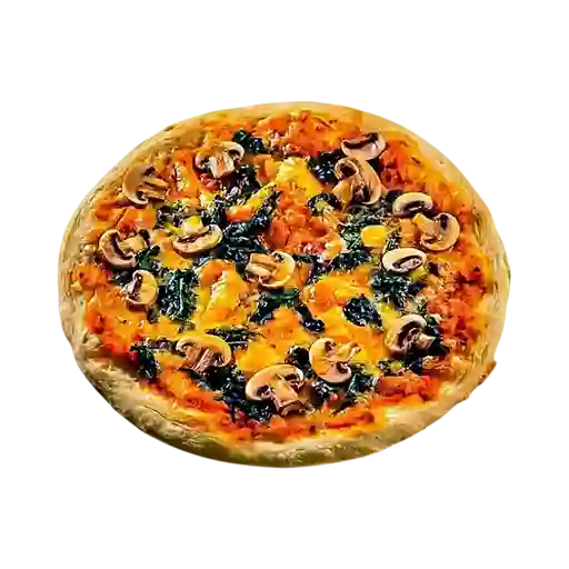 Pizza Vegetariana X 16
