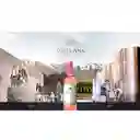 Santa Ana Vino Rosado Malbec