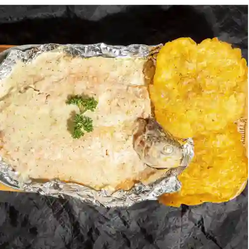 Arma Tu Duo Mar y Río