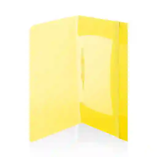 Carpeta Segur Oficio Amari 60 Scribe