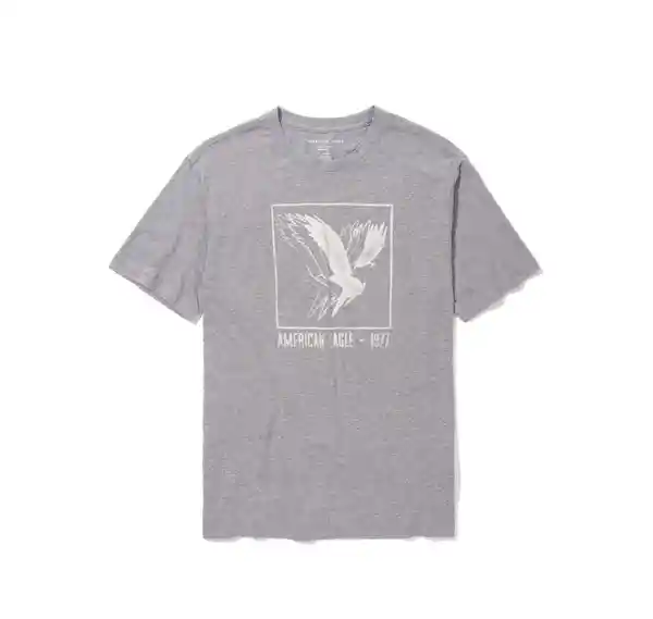 Camiseta Hombre Gris Talla Small American Eagle 01812824