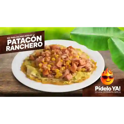 Patacón Ranchero