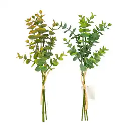 Ramo Eucalipto Concepts 420593970srt