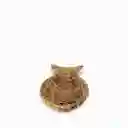 Ambiente Gourmet Pescado Jacinto de Agua 8.5 x 46 x 26 cm