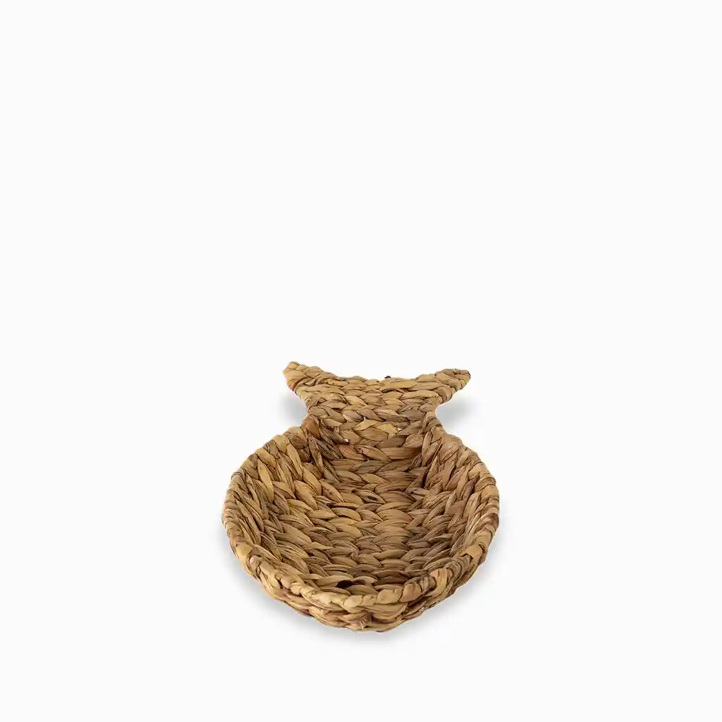 Ambiente Gourmet Pescado Jacinto de Agua 8.5 x 46 x 26 cm