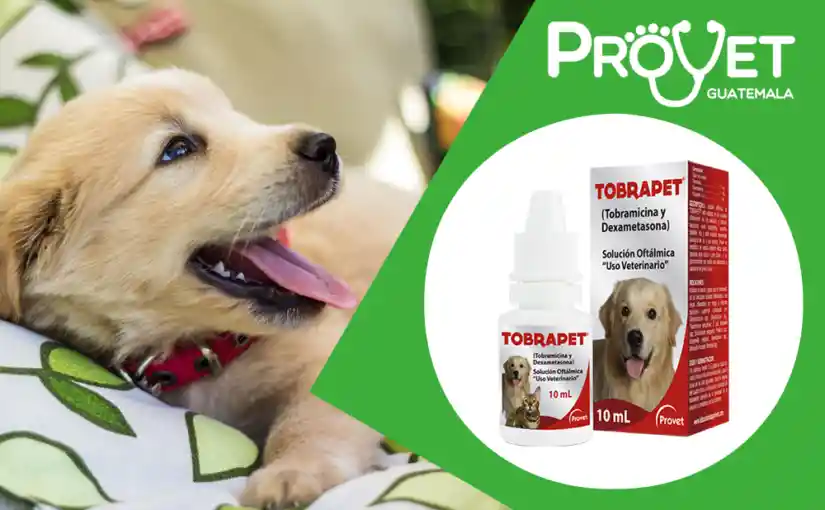 Tobrapet Solución Oftálmica para Perros de Uso Veterinario