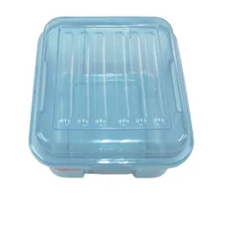 Caja Organizador Azul 2.5 L 25251 Vanyplas