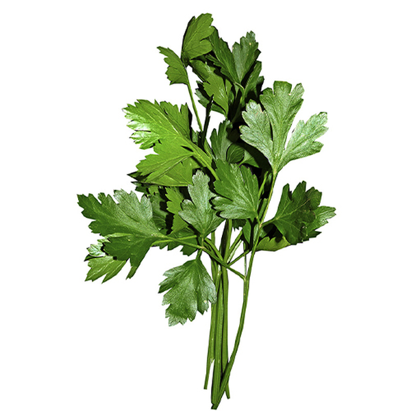 Perejil Crespo 250 g