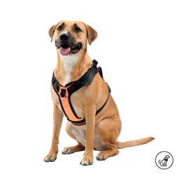 Arnés Pechera Para Perro Rex M Azul/rosado/naranja