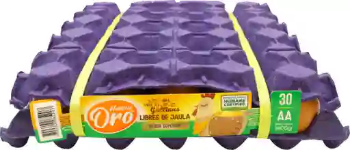 Mamá Gallina Huevo Rojo Oro AA