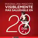 Comida para perro Purina One adultos minis y pequeños Pollo y Cordero X 3,5kg